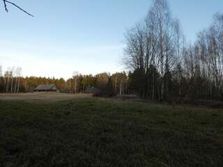 Фото Проживание в семье Silini Forest bathing experience г. Jelgavkrasti